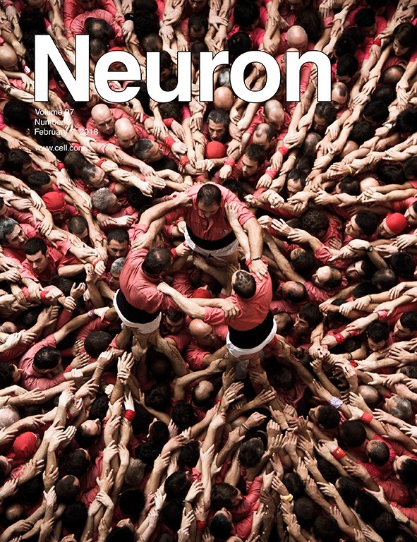 Photograph by David Oliete of the human towers of Catalonia