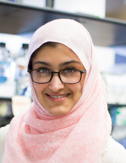 Sumaira Zamurrad Sumaira Zamurrad